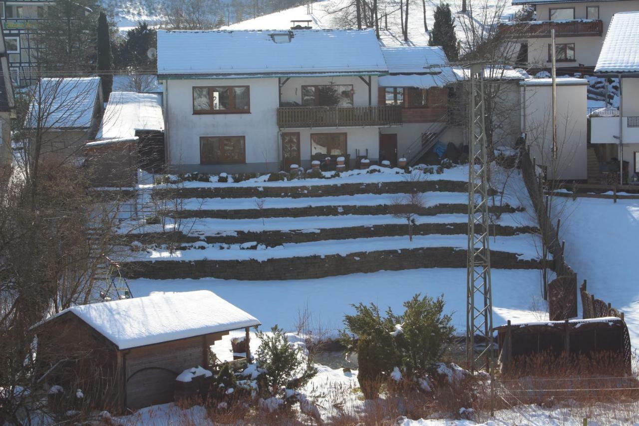 Haus Talblick Villa Schmallenberg Exterior photo
